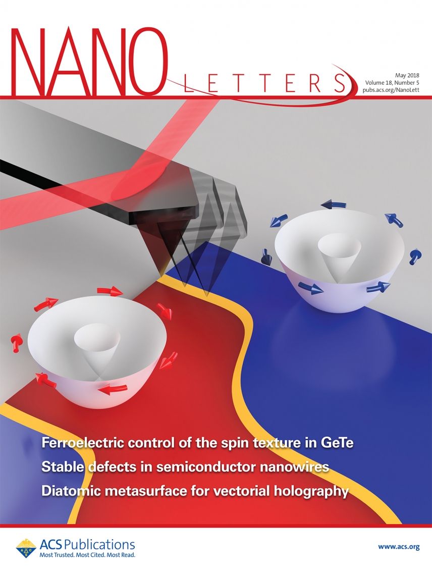 Nanoletters cover