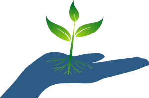 Seed Projects