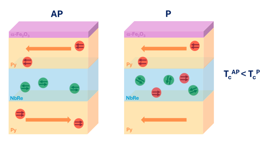 Spin-triplet Superconductivity Unveiled in NbRe-Based Spin Valves