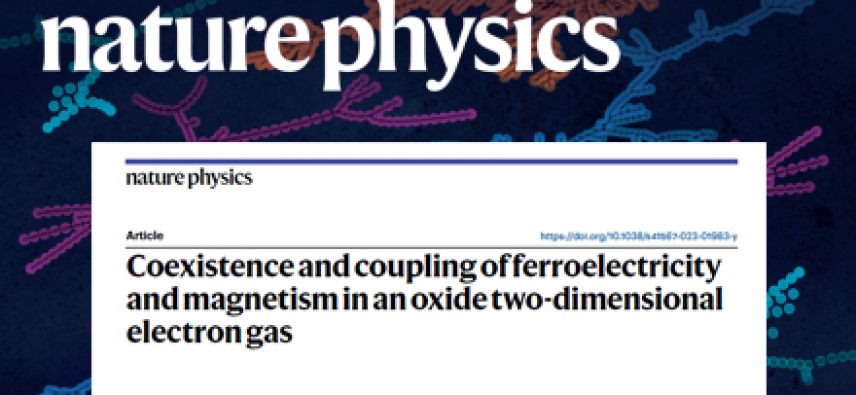 Coexistence and coupling of ferroelectricity and magnetism in an oxide two-dimensional electron gas