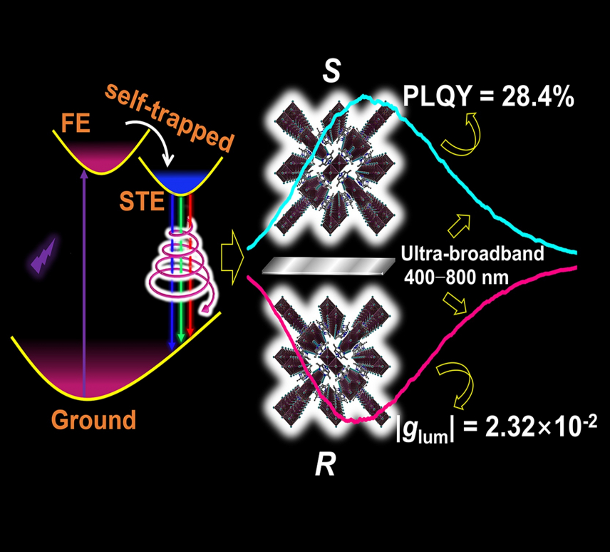 A pair of single-component circularly polarized white light emitters with an ultra-broadband emission were successfully synthesized. The white circularly polarized light emission originates from the self-trapped exciton mechanism. The perovskite enantiomers with a double 1D chain exhibit excellent performance with a high quantum yield (28.4%) and large photoluminescence asymmetry factor (2.32×10−2).