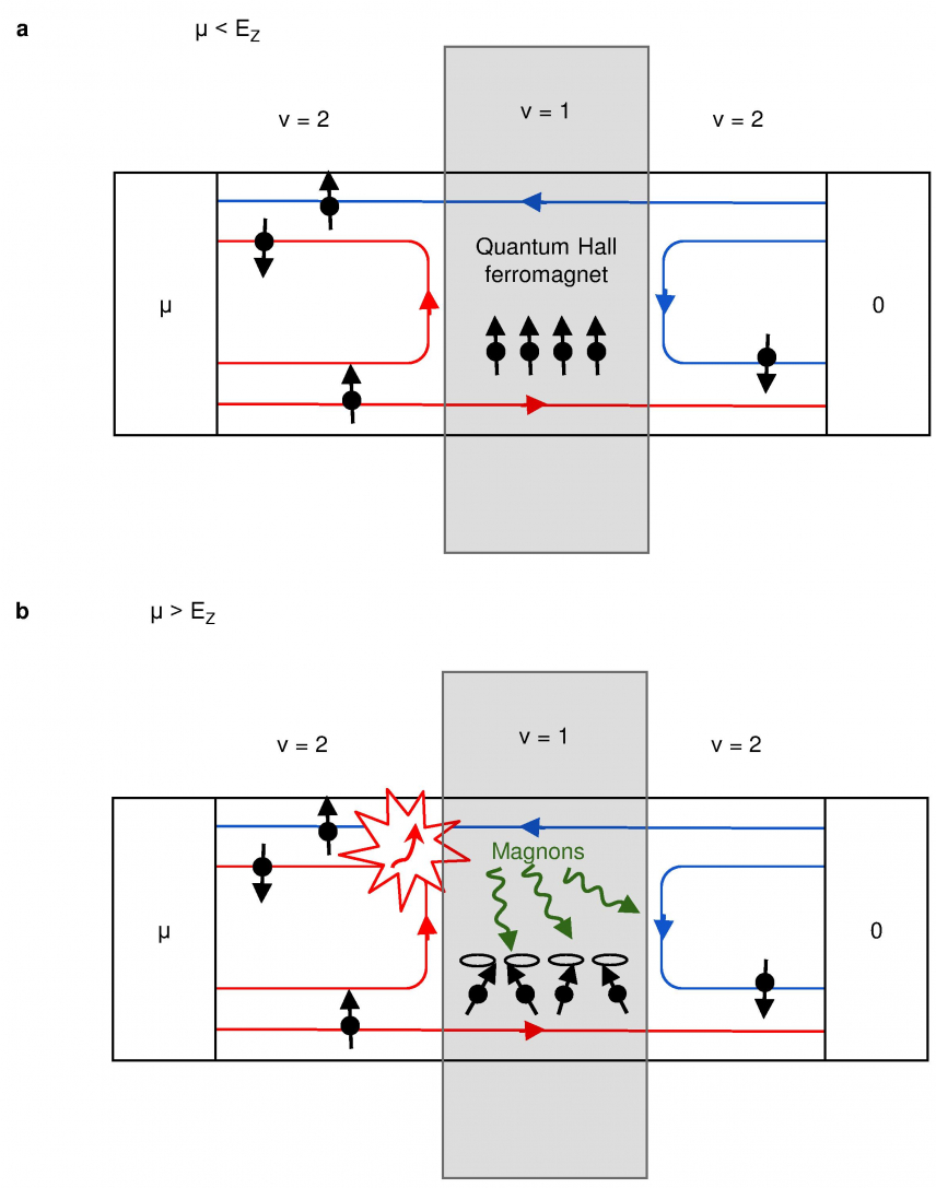 To measure a magnon population - in Nature Physics News&amp;views