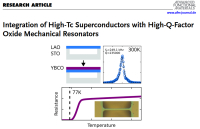 Integration of a high-Tc superconductor on a micro-mechanical oxide resonator