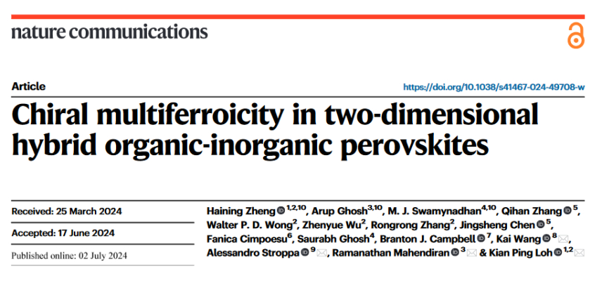 Chiral multiferroicity in two-dimensional hybrid organic-inorganic perovskites