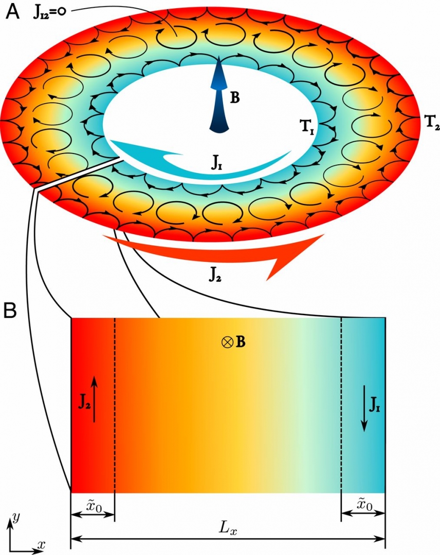 (A) The schematic showing the edge currents flowing in a Corbino disk subjected to an external magnetic field normal to its plane and to a radial temperature gradient. (B) The schematic showing the edge currents flowing in a conducting strip subjected to an external magnetic field normal to its plane.