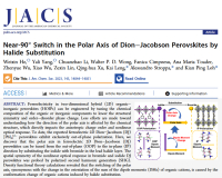 "Near-90° Switch in the Polar Axis of Dion–Jacobson Perovskites by Halide Substitution" published in JACS