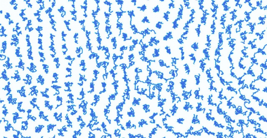 Atomic trajectories in a 2D liquid generated by computer simulations. The correlated elongation of the trajectories is a visual signature of the newly-discovered collective motions, showing that 2D and 3D liquids are fundamentally different.