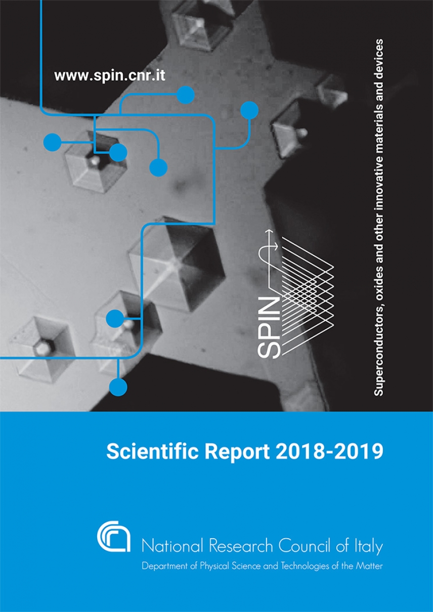The SPIN report of the scientific activities 2018-2019 has been published!