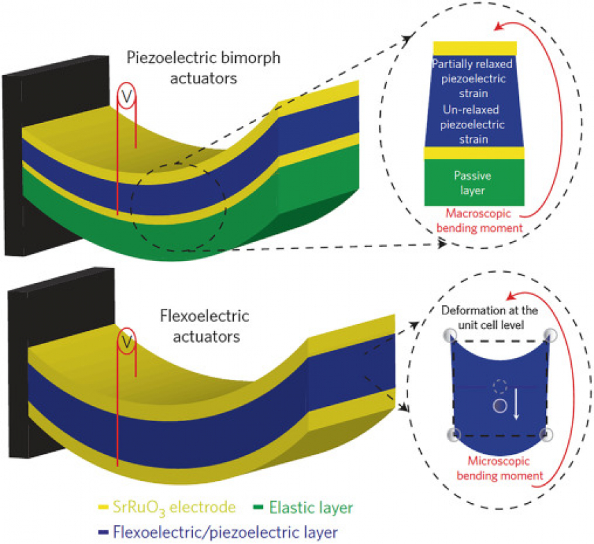 Schematic comparing flexoelectric actuation and piezoelectric bimorph actuation in nanoscale actuators [U.K. Bhaskar, et al. Nature Nanotechnol., 11 (2016), p. 263]