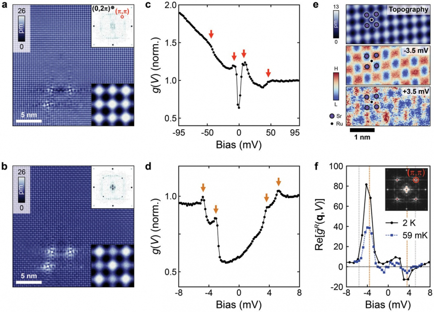 Checkerboard charge order. a) Topography taken showing the Sr square lattice. Lower inset: enlarged topography. Upper inset: Fourier transformation with Bragg peaks at (0, 2π) (black circle) and (2π, 0). Peaks at (π, π) (red circle) and (-π, π) coincide with the periodicity of the surface reconstruction. b) Topography showing a clear checkerboard, shown in more detail in the lower inset. Upper inset: Fourier transformation showing increase of intensity at (π, π). c) Tunneling spectrum g(V) measured at T = 76 mK. d) High resolution g(V) spectrum around EF with a gap and four peaks indicated by yellow arrows e) Top: Topography with a model indicating the positions of the Sr atoms. Bottom: Real-space g(r,V) maps recorded simultaneously with the topography. A strong checkerboard charge order is observed which has opposite phase. f) Energy dependence of the phase-referenced Fourier transformation observed in the average g(r,V) spectrum at 59 mK. Insert: Fourier transformation of g(r,V) for the T = 2K map.