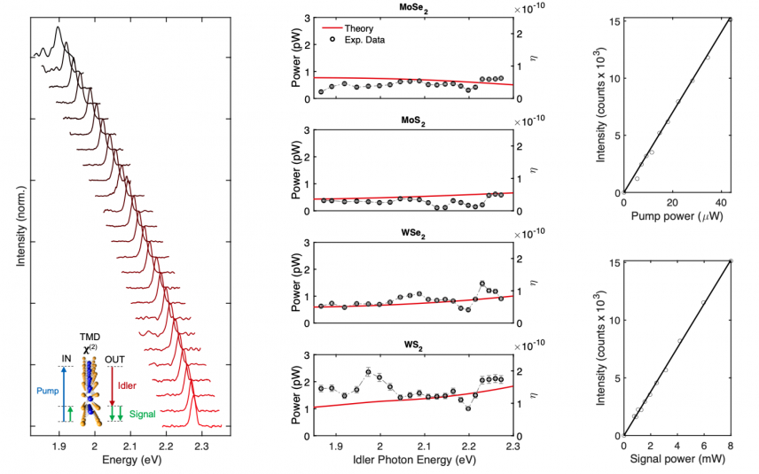 Optical parametric amplification by monolayer transition metal dichalcogenides