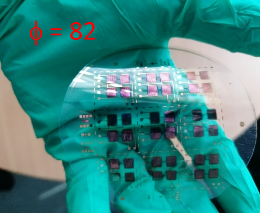 Flexible fully organic radiation detector