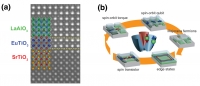 (a) Microscopia trasmissione elettronica ad alta risoluzione di una delle eterostrutture artificiali che verranno studiate in TOP-SPIN. (b) Gli ossidi bidimensionali sono candidati per la spin-orbitronica, una nuova tecnologia di dispositivi che usa l'accoppiamento spin-orbita per creare nuovi stati della materia.